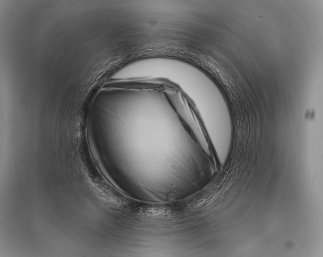 X0000096190546200802151505