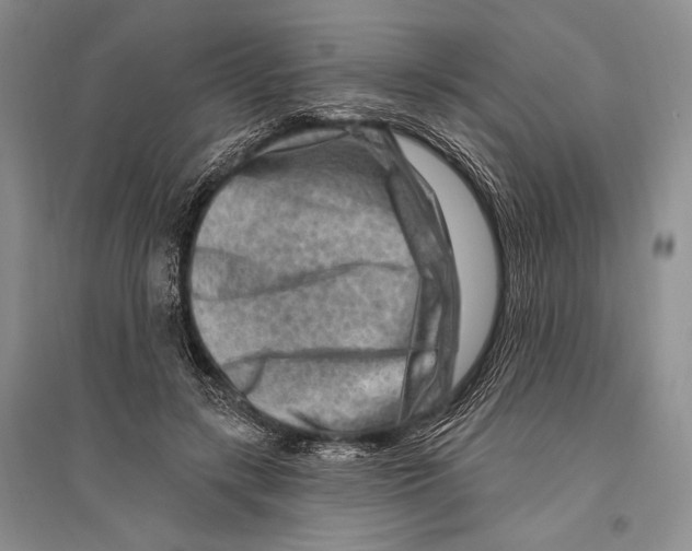 X0000096190547200802151505