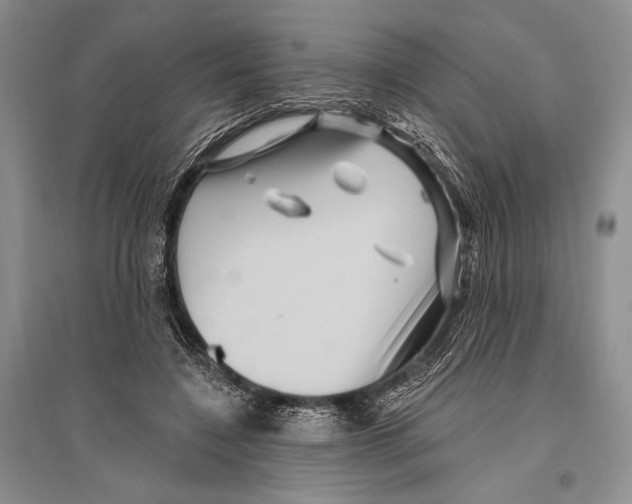 X0000096190548200802151505