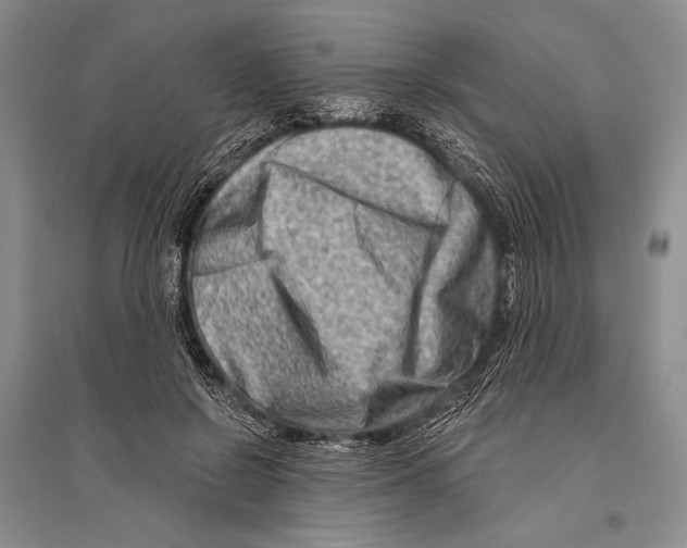 X0000096190550200802151505