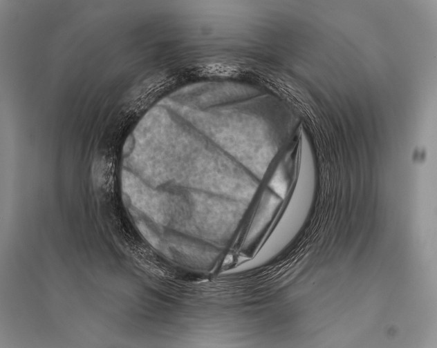 X0000096190551200802151505