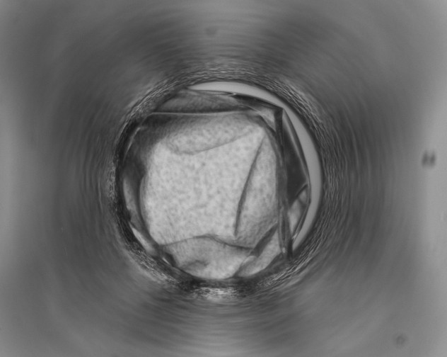 X0000096190552200802151505