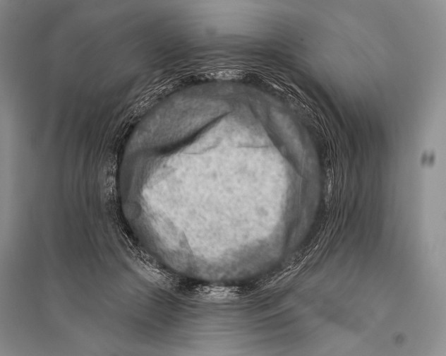 X0000096190553200802151505