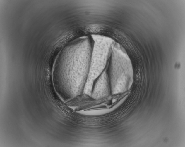 X0000096190555200802151505