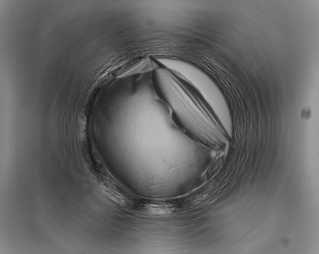 X0000096190556200802151505