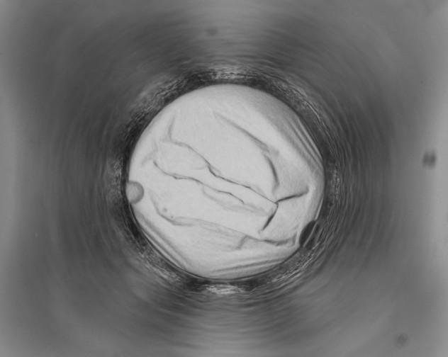 X0000096190557200802151505