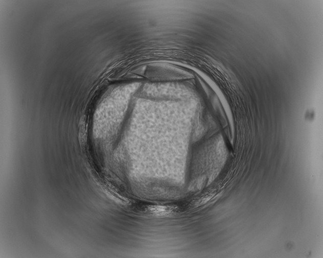 X0000096190558200802151506