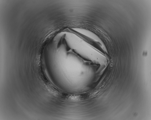 X0000096190560200802151506