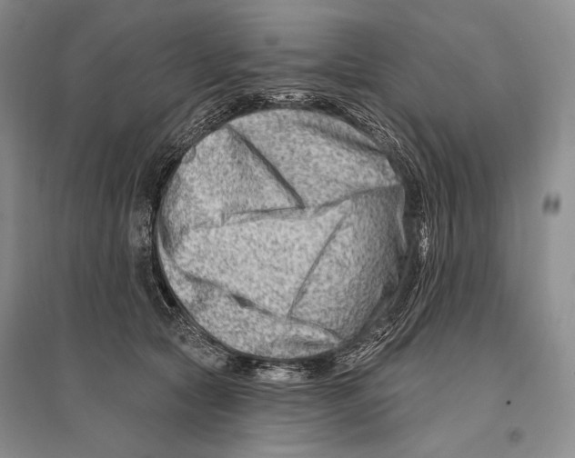 X0000096190561200802151506