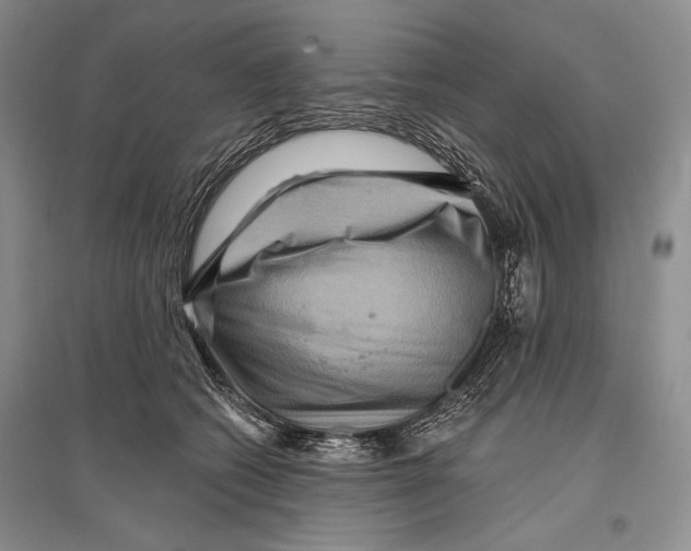 X0000096190562200802151506