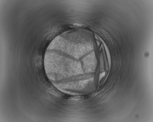 X0000096190563200802151506