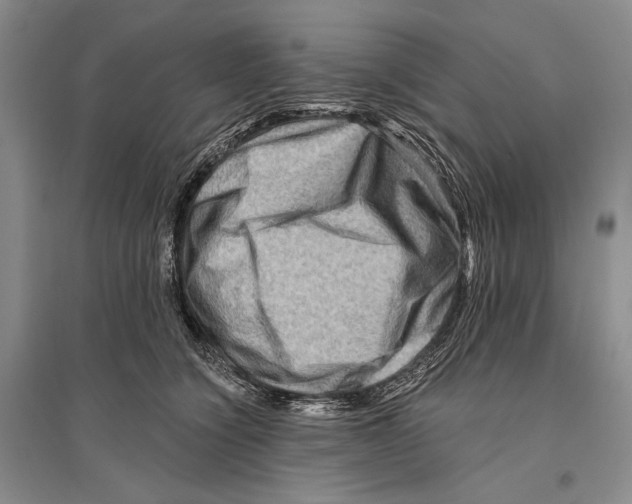 X0000096190564200802151506