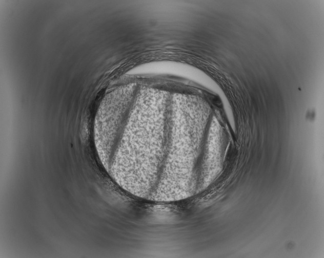 X0000096190566200802151506