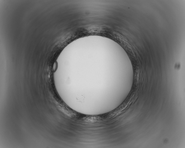 X0000096190567200802151506