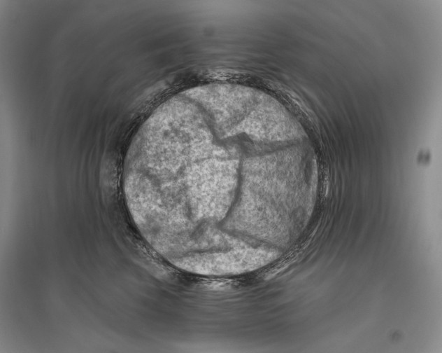 X0000096190569200802151506