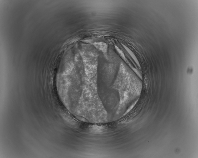 X0000096190570200802151506