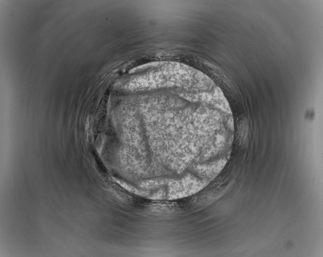 X0000096190571200802151506