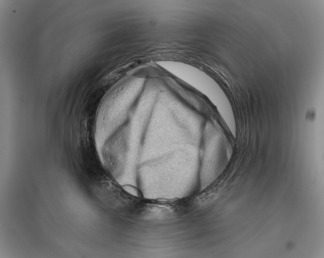 X0000096190572200802151506