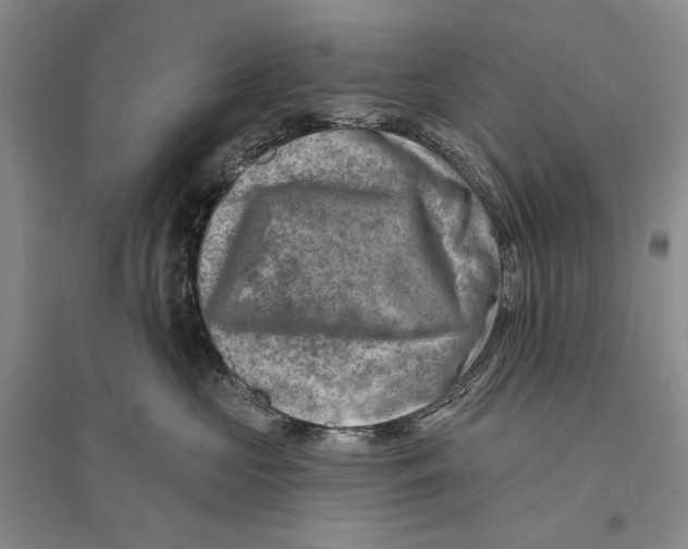 X0000096190573200802151506