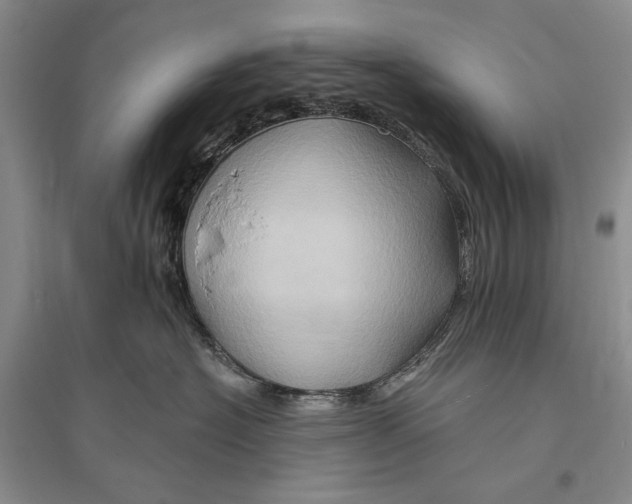 X0000096190574200802151506