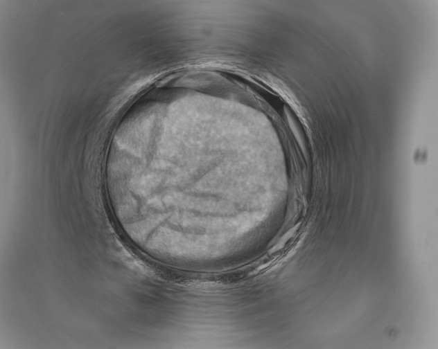 X0000096190577200802151505