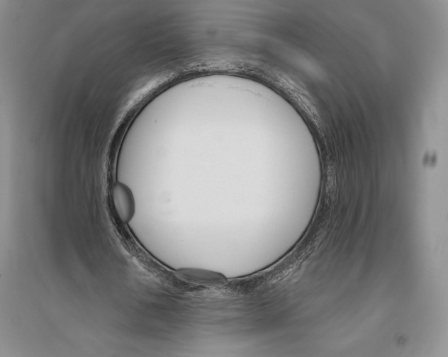 X0000096190578200802151505