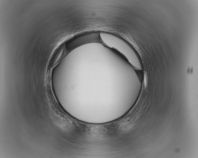 X0000096190579200802151505