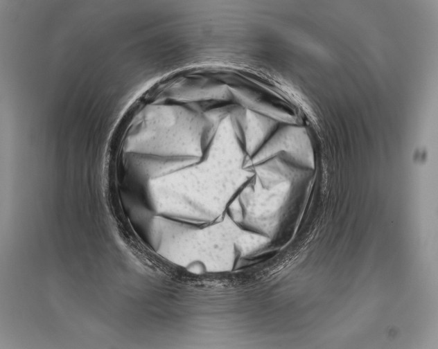 X0000096190580200802151505