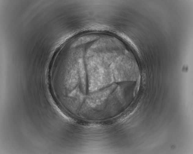 X0000096190581200802151505