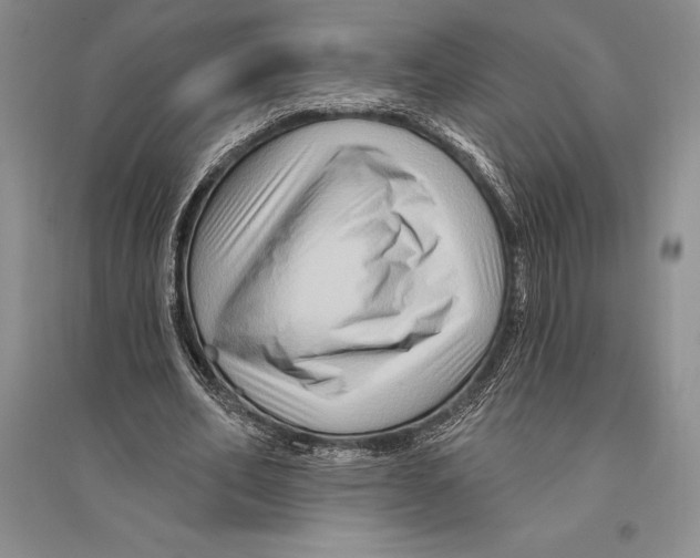 X0000096190582200802151505