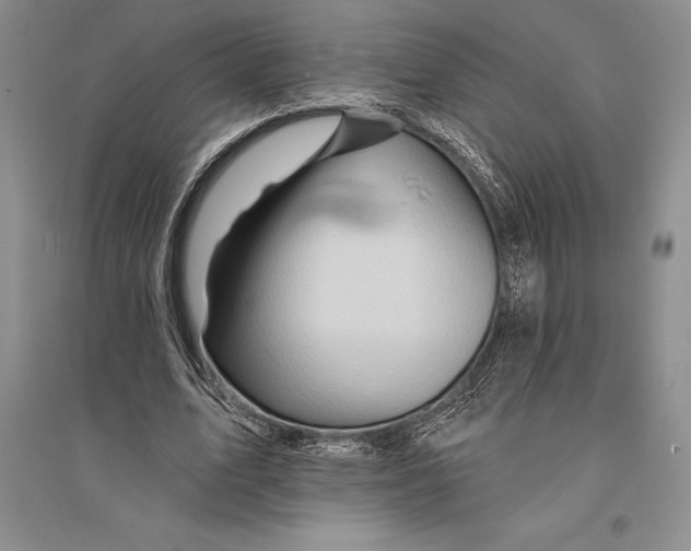 X0000096190583200802151505