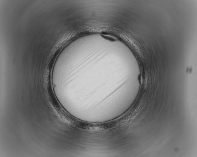 X0000096190586200802151505