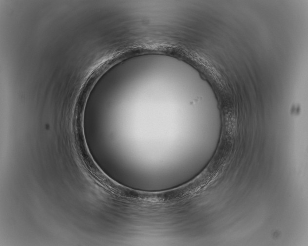 X0000096190587200802151505