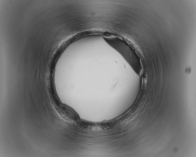 X0000096190588200802151505