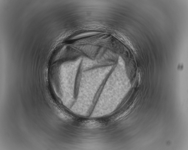 X0000096190589200802151505