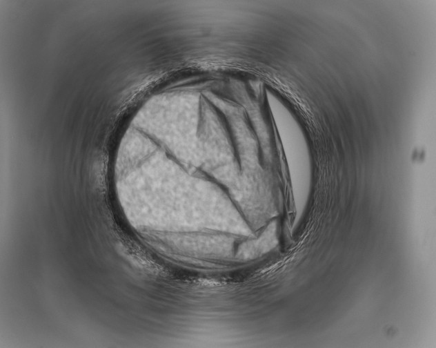 X0000096190592200802151505