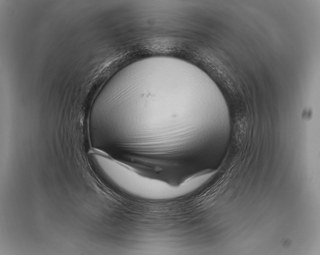 X0000096190596200802151505