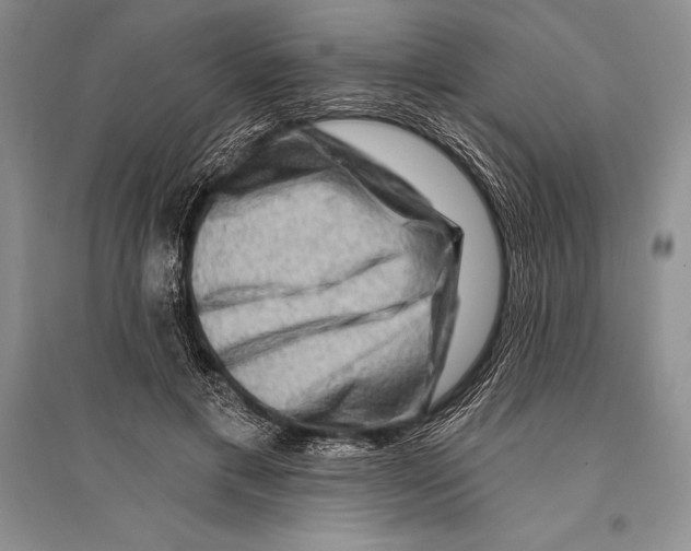 X0000096190597200802151505