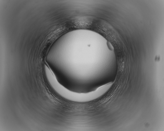 X0000096190599200802151505