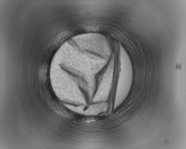 X0000096190600200802151505