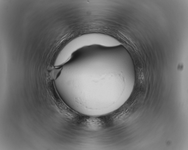 X0000096190603200802151505