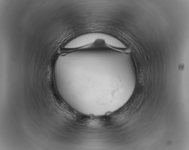 X0000096190604200802151505