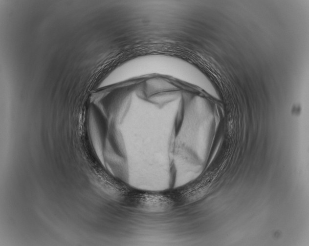 X0000096190605200802151505