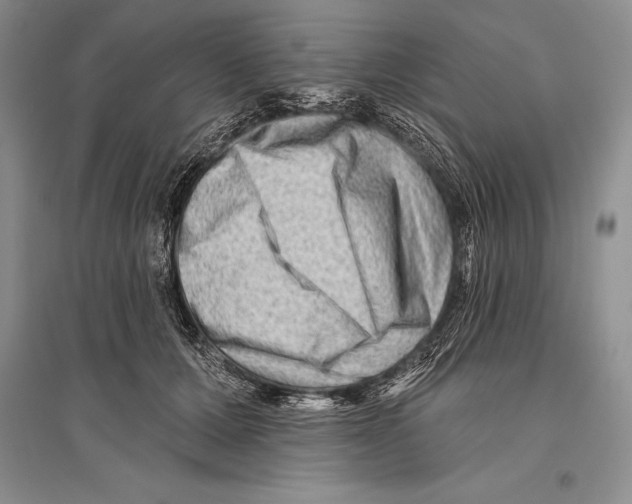 X0000096190607200802151505