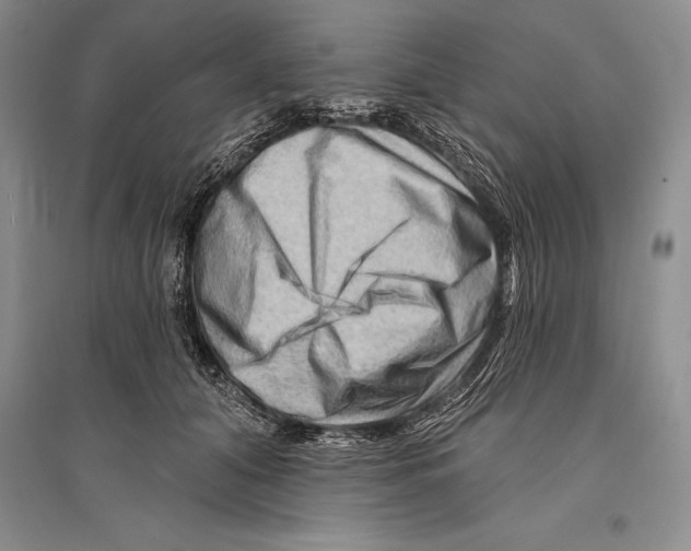 X0000096190608200802151505