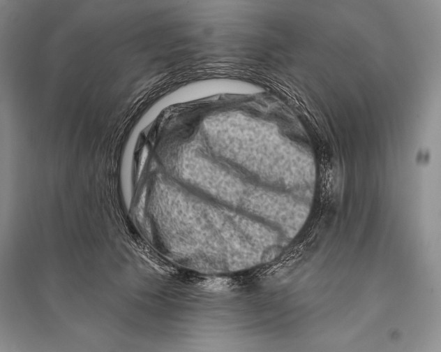 X0000096190609200802151505