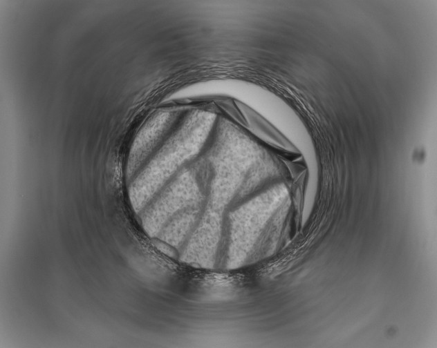 X0000096190613200802151505