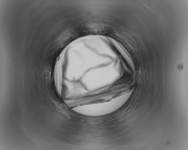 X0000096190615200802151505