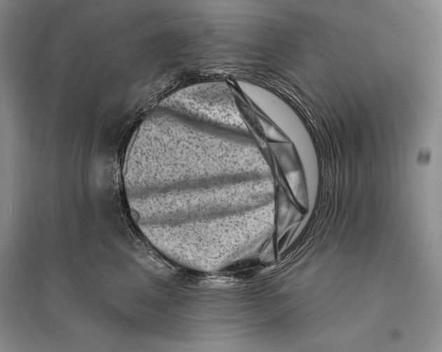 X0000096190617200802151505