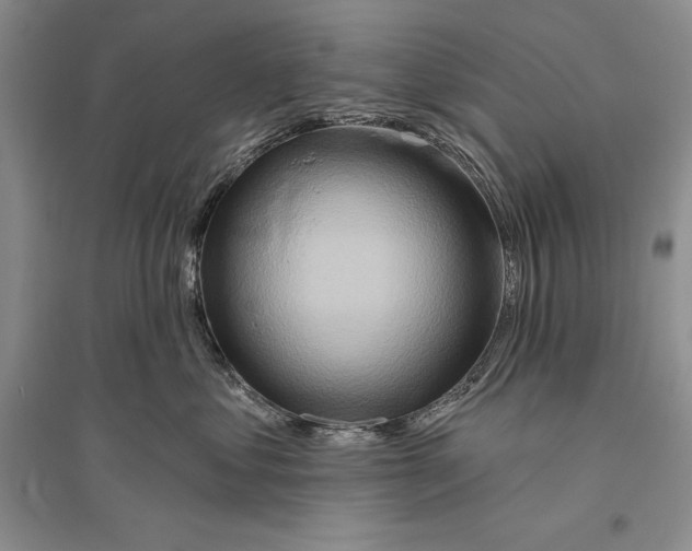 X0000096190621200802151504